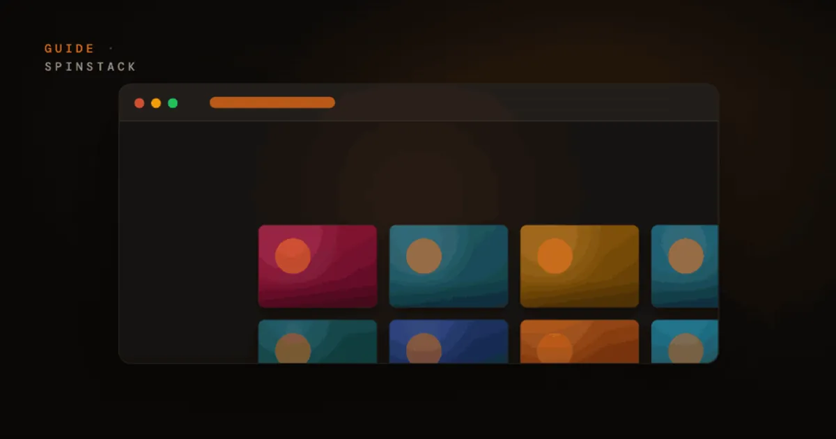 Vinyl Collection Management Guide That Works